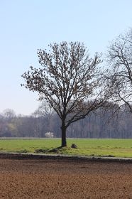 IMG_0375.JPG