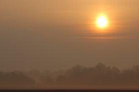 IMG_0517.JPG